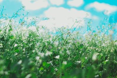 outdoors